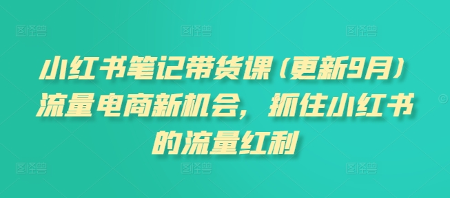 小红书笔记带货课(更新25年6月)流量电商新机会，抓住小红书的流量红利-巴叔叔资源网