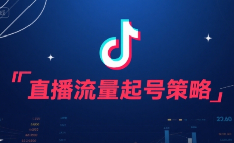 尼采老师·直播流量起号实战课-巴叔叔资源网