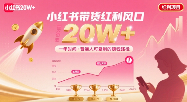 一年时间靠小红书带货项目年入20w+，最不能错的大红利项目-巴叔叔资源网