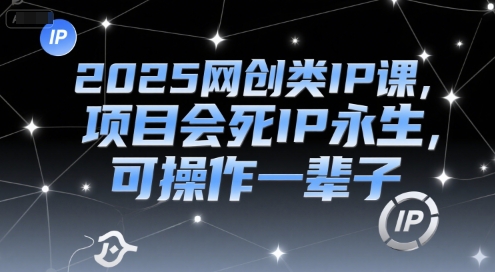 2025网创类IP课，项目会死IP永生，可操作一辈子-巴叔叔资源网