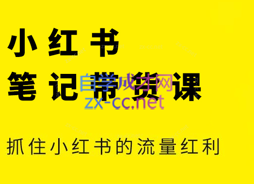 张宾·小红书笔记带货课(更新6月)-巴叔叔资源网