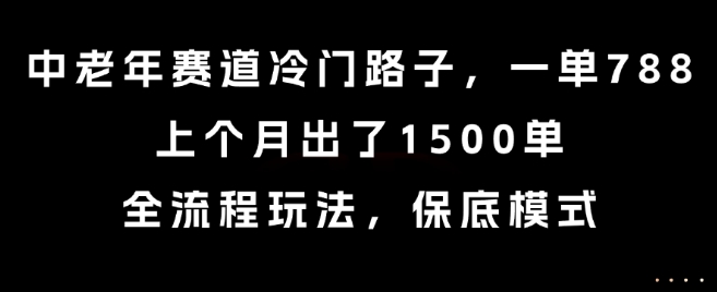 中老年赛道冷门路子，一单788，上个月出了1500单，全流程玩法，保底模式【揭秘】-巴叔叔资源网