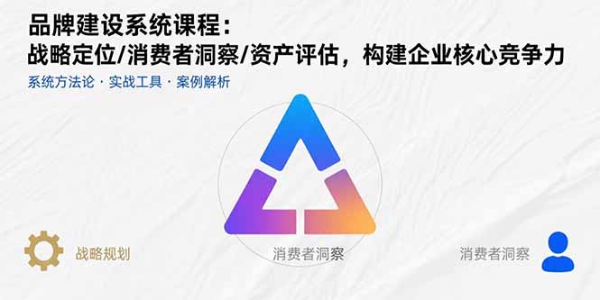 品牌建设系统课程：战略定位/消费者洞察/资产评估，构建企业核心竞争力-巴叔叔资源网