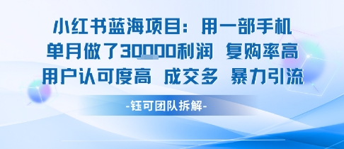 小红书蓝海项目，一部手机单月做了3W利润，小白也能月入过1W用户认可度高成交多-巴叔叔资源网