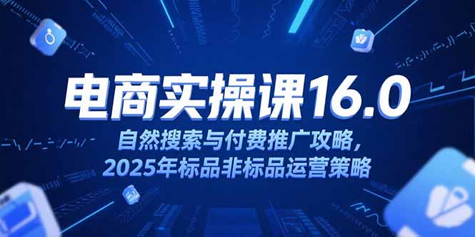 淘宝电商运营课16.0，自然搜索与付费推广攻略，2025年标品非标品运营策略-巴叔叔资源网