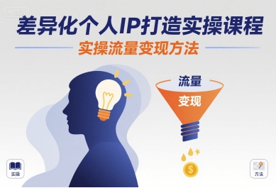 差异化个人IP打造实操课程，实操流量变现方法-巴叔叔资源网