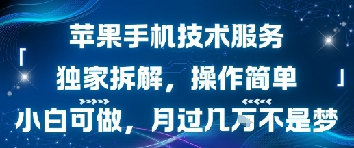 苹果手机技术服务，独家拆解，操作简单，小白可做，月过1W不是梦-巴叔叔资源网