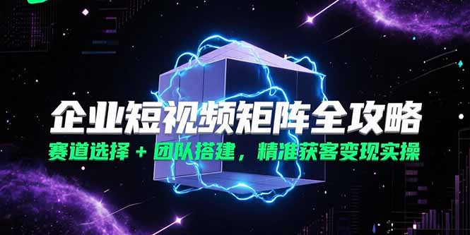 企业短视频矩阵全攻略，赛道选择+团队搭建，精准获客变现实操-巴叔叔资源网