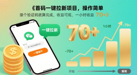 首码一键拉新项目，操作简单，接个验证码就算完成，收益可观， 一小时收益70+【揭秘】-巴叔叔资源网