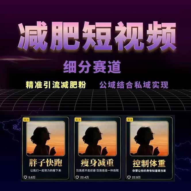 图片[2]-减肥短视频运营实战课：含素材制作、剪映教学，讲精准引流、变现设计与内容模板技巧-巴叔叔资源网