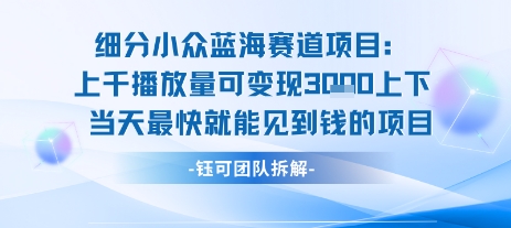 小众蓝海赛道项目：当天变现1k+适合新手操作 +适合长期玩-巴叔叔资源网