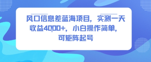 风口信息差蓝海项目，实测一天收益4k+，小白操作简单，可矩阵起号-巴叔叔资源网