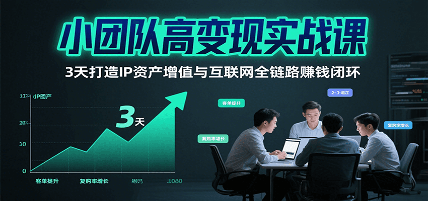 小团队高变现实战课，3天打造IP资产增值与互联网全链路赚钱闭环(第二期)-巴叔叔资源网