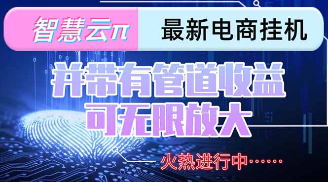 智慧云π电脑挂机单机每天收益300—500+ 并带有团队管道收益 可无限放大-巴叔叔资源网