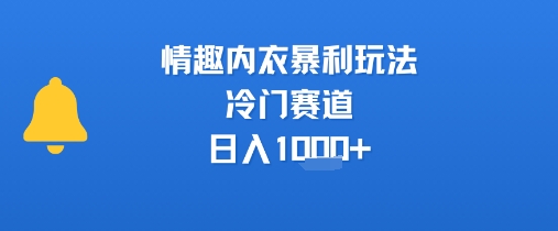 情趣内衣暴利玩法，冷门赛道，日入1k+-巴叔叔资源网