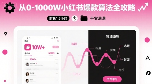 从0-1000W小红书爆款算法全攻略，时长1.5小时，干货满满-巴叔叔资源网