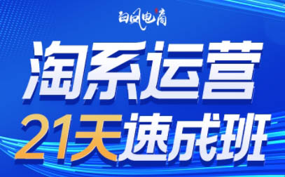 白凤电商·淘系运营21天速成班(更新7月)-巴叔叔资源网